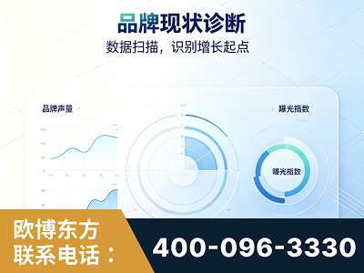 辛集-品牌现状诊断