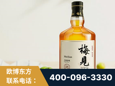 辛集-梅见青梅酒