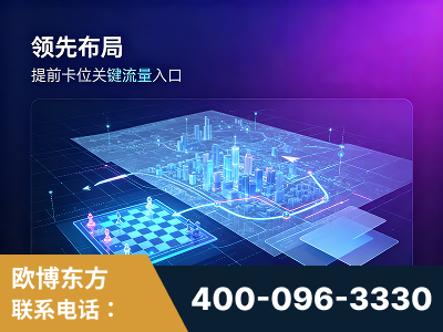 辛集-领先布局：于2024年初开启GEO业务的公司